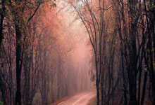 西班牙vs荷兰次回合大名单:劳尔-阿森西奥、费兰入选.