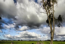 开元棋牌官网:世预赛-玻利维亚0-0乌拉圭送阿根廷出线.