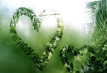 开元棋牌官网:萨里:很遗憾执教切尔西一年就离开 希望回英超.